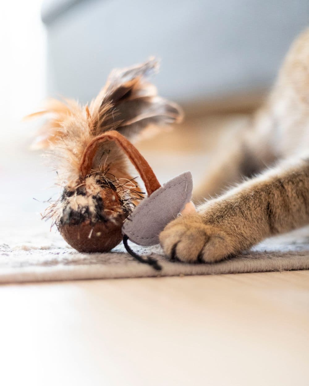 A cat paw reaching for a feathered toy mouse on a rug