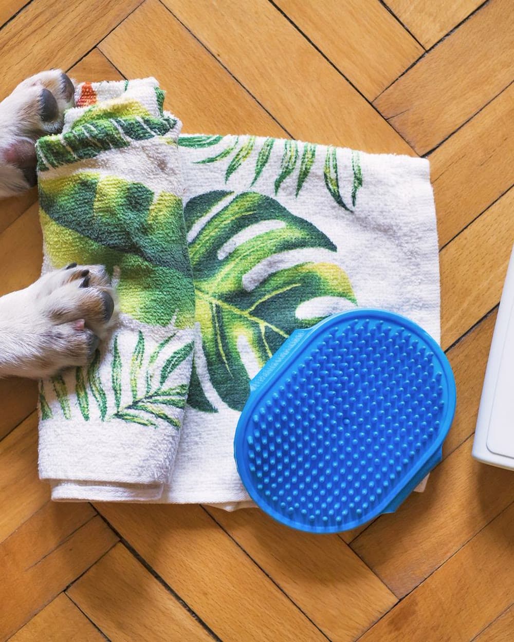 Flat lay of a grooming brush and folded towel on a wooden floor